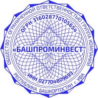 pr ooo 11 Печать ООО печать ооо,изготовление печати для ооо,печать для ооо,печать организации https://gogostamp.ru