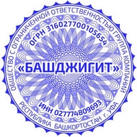 pr ooo 12 Печать ООО печать ооо,изготовление печати для ооо,печать для ооо,печать организации https://gogostamp.ru
